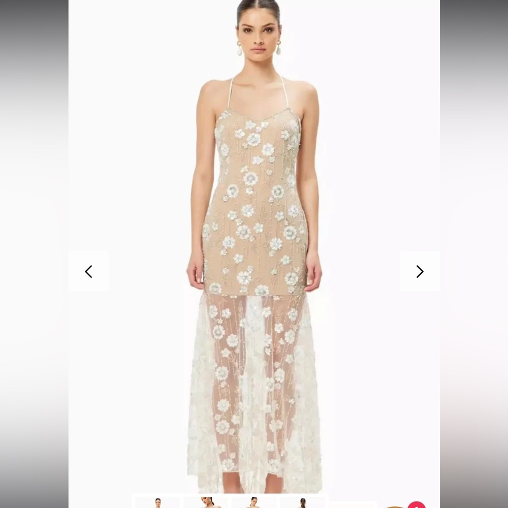 Elliatt Retusa Embellished Mesh Gown